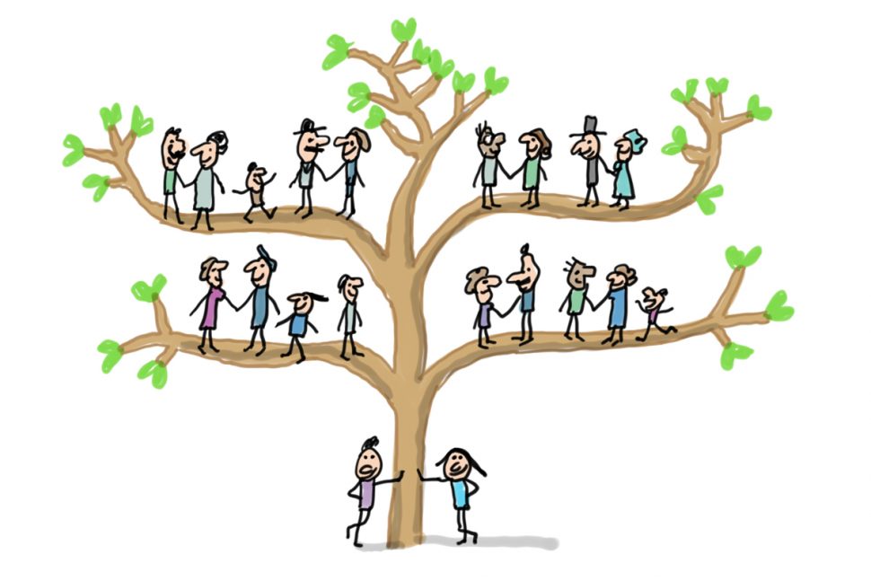 Mais où sont-ils sur cet arbre ?