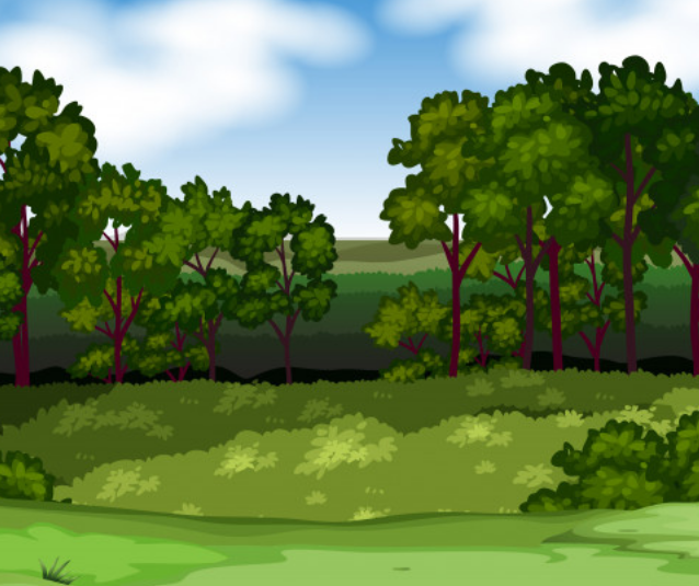 Les bois de Bouc étourdi