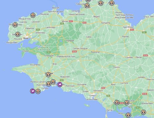 Dédicaces de l’été 2023 – Tournée bretonne